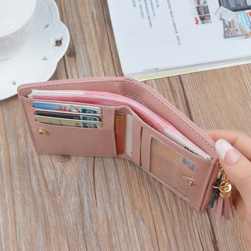 Fashion Panelled Wallet